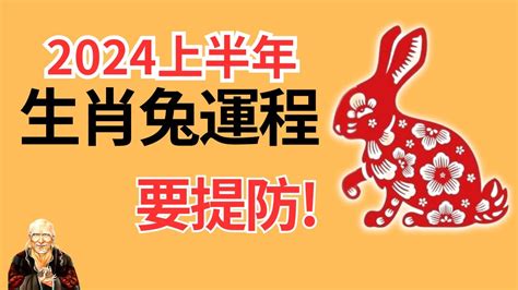 2024年屬兔運勢|2024年屬兔人全年整體運勢